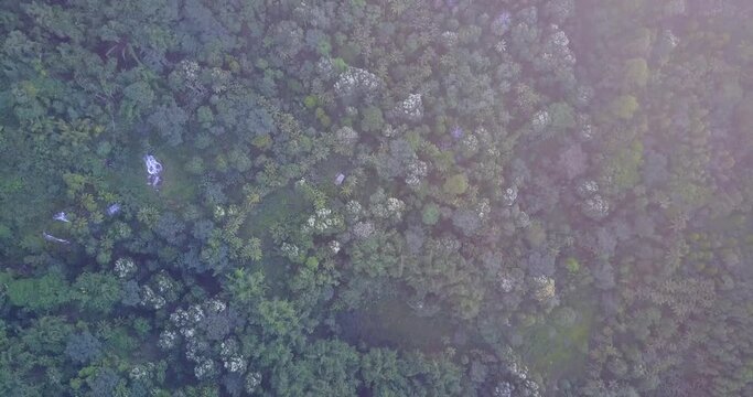 Morning View of of the Bena Traditional Village and surround areas in East Nusa Tenggara, Indonesia. 
