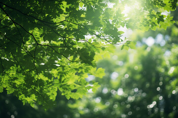 Fototapeta na wymiar ecological background of blurred green leaves of trees