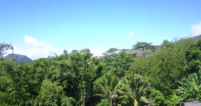 Drone View of the Luba Traditional Village in East Nusa Tenggara, Indonesia. 