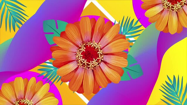 tropical flower and ornament looped animation