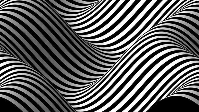 Black And White Monochrome Zebra Wave Animation Loop