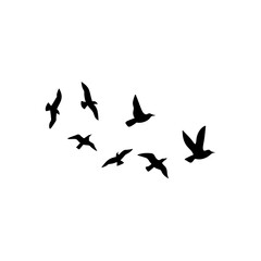 Flock of flying birds silhouette 