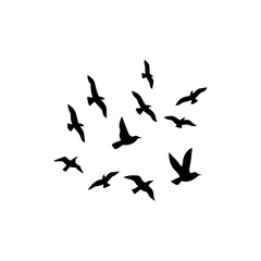 Flock of flying birds silhouette 