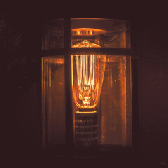 Lamp Light