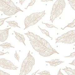 A pattern of leaves. Vector illustration highlighted on a white background. For nature, eco and design. Hand-drawn plants, a frame for a postcard.