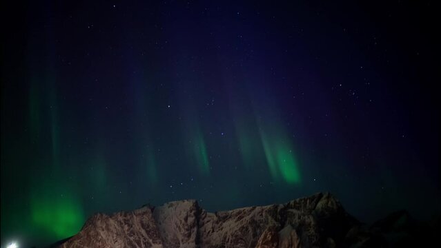 Aurora Borealis, with vibrant hues of green dances above mountain backdrop, Lofoten, Norway