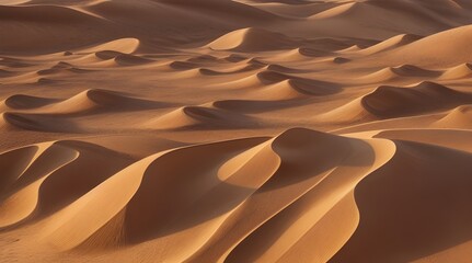Fototapeta na wymiar sand dunes in the desert background wallpaper