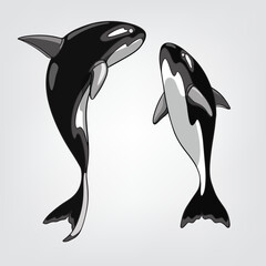 Vector illustration of isolated cartoon orcas