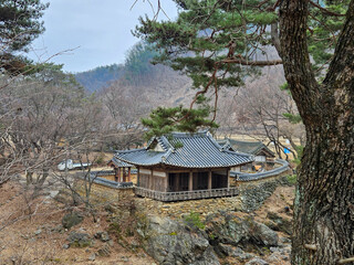한국의 전통 정자