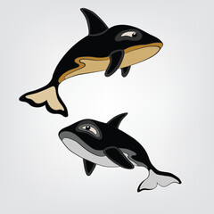 Vector illustration of isolated cartoon orcas