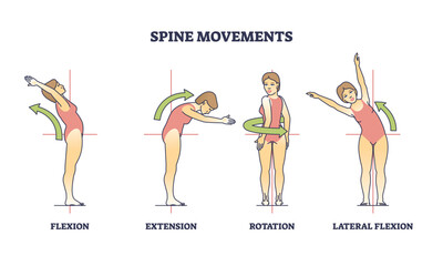 Spine movements with flexion, extension and rotation poses outline diagram. Labeled educational medical scheme with back bending and flexibility vector illustration. Stretching lumbar backbone parts. - obrazy, fototapety, plakaty