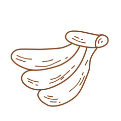 Banana Illustration 