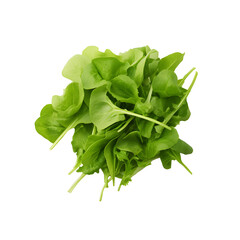 Salad mix with rucola, frisee, radicchio and lamb's lettuce. Isolated on png background.
