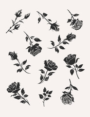 Set of black roses silhouettes on white background. Vector illustration.