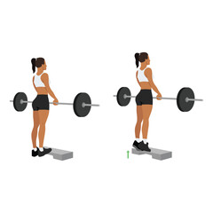 Fototapeta na wymiar Woman doing standing calf raises with barbell exercise. Flat vector illustration isolated on white background