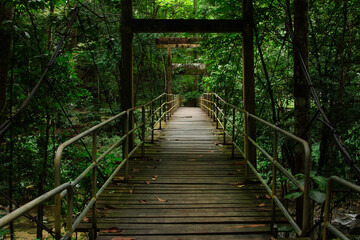 Old Suspension Bridge in the Deep Rainforest