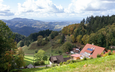 Panorama Forêt Noire