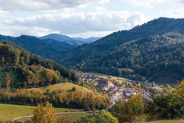 Vallée Forêt Noire