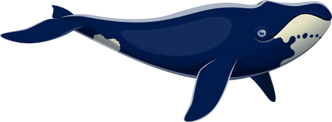 Cartoon bowhead whale character. Ocean wildlife and aquatic animal cute personage. North sea big mammal, underwater fauna isolated vector character, bowhead whale funny mascot - obrazy, fototapety, plakaty