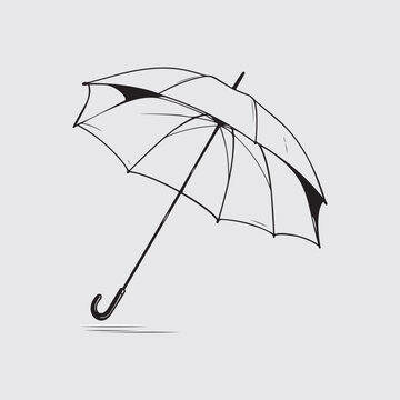 Umbrella Vector Images