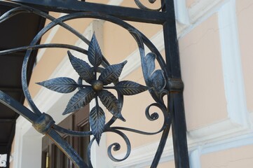 Details, beautiful ornament of a wrought-iron porch, canopy. Plant floral decorative element made...