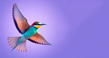 Naklejka premium Flying hummingbird isolated on pourple background Small multicolor bird in flight, generative ai