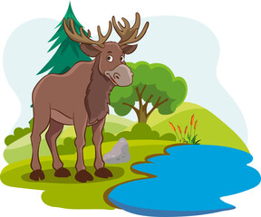 vector illustration of forest and deer
