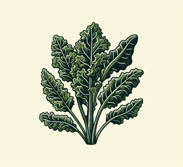 Kale hand drawn vector graphic asset