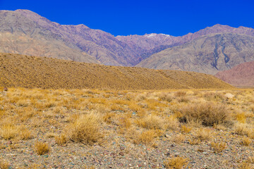 rocks and dry grass tufts in autumn mountains scene at sunny day.
