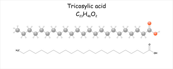 Tricosylic acid. Stylized molecule model and structural formula.  Occurs naturally in fennel. - obrazy, fototapety, plakaty