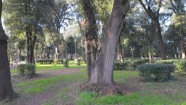 Villa Borghese - Rome - Lazio - Italy