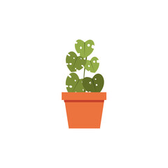 set of plants with brown pots plant