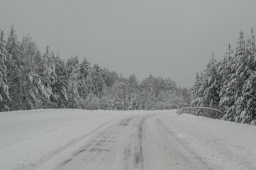 a road in a snowy winter forest after a snowfall