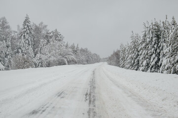 a road in a snowy winter forest after a snowfall