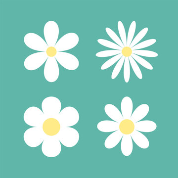 Four white daisy chamomile set line. Camomile round icon. Cute cartoon flower head plant collection. Love card symbol. Nature style. Growing concept. Flat design. Isolated. Green background.