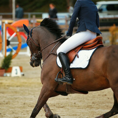 Brown horse with rider galloping, close-up forehand horse.