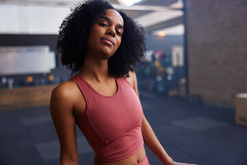 Fit young confident woman in a gym