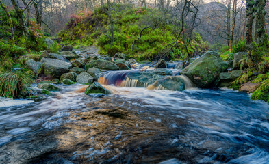 stream in the forest, Middle Black Clough Waterfall