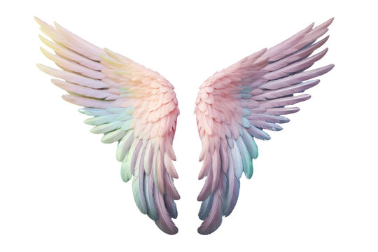 pastel rainbow angel wings Feather design isolated on transparent background,png file