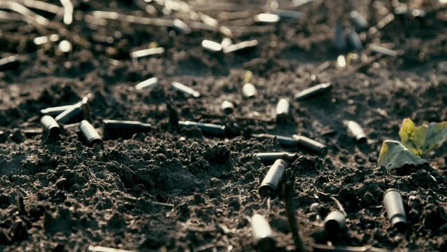 A scorched field after a battle with a machine gun shell. Field with small sprouts of plants. War concept