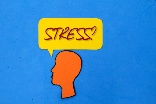 people's heads and chat boxes with the word stress. the concept of mental health.