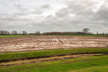 Dutch field after persistent rain. The photo was taken in the province of North Brabant on a...