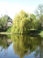 Obraz premium house on the river