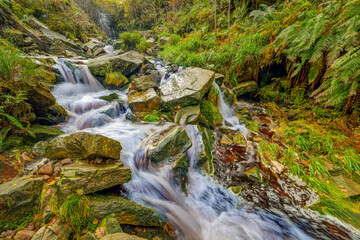 waterfall in the forest, Middle Black Clough 