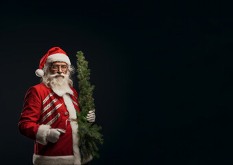 Fototapeta na wymiar Santa Claus holds a Christmas tree in his hands. New year holiday concept