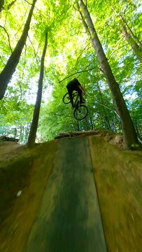 Bike jumping on a ramp in the forest.