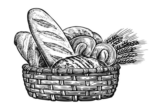 Basket with wheat and fresh bread. Bakery products, sketch illustration