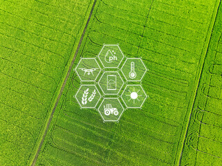 Smart agriculture with modern technology for sustainable practices. Rice farm. Smart farming...