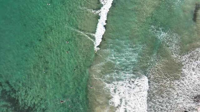 Maroubra beach surfing sydney australia aerial 4k water sports turquoise sea 
