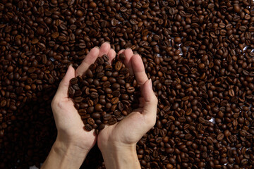 Male hands are full of roasted brown coffee beans. Clean coffee is an effective active ingredient that helps reduce depression of the nervous system. Advertising photo